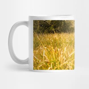 sbs swamp Mug